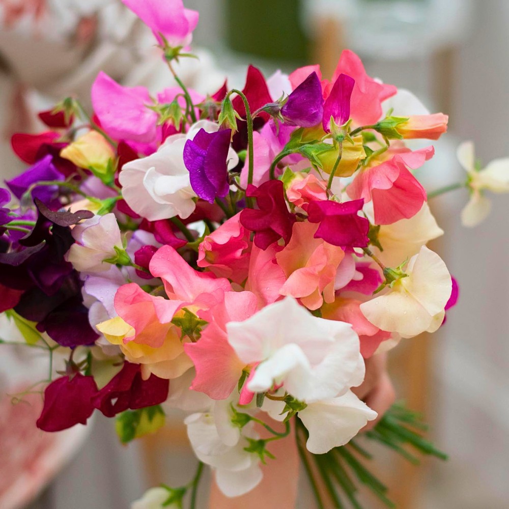 Which Are the Best Flowers for Spring Weddings?