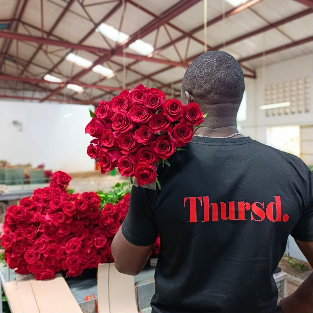 Red Monarch Meiriposo