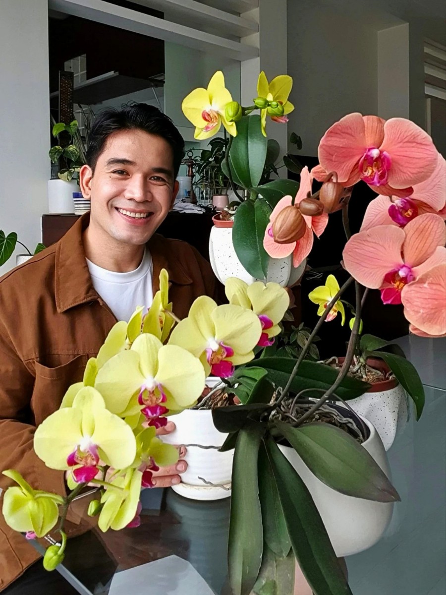 Celebrating the Diversity and Beauty of Orchids on National Orchid Day