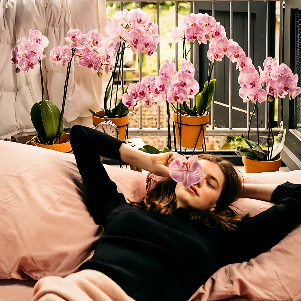 National Orchid Day Celebrates One of Nature's Most Beautiful Flowers