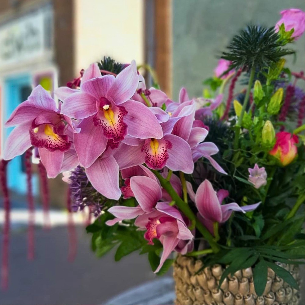 National Orchid Day Celebrates One of Nature's Most Beautiful Flowers