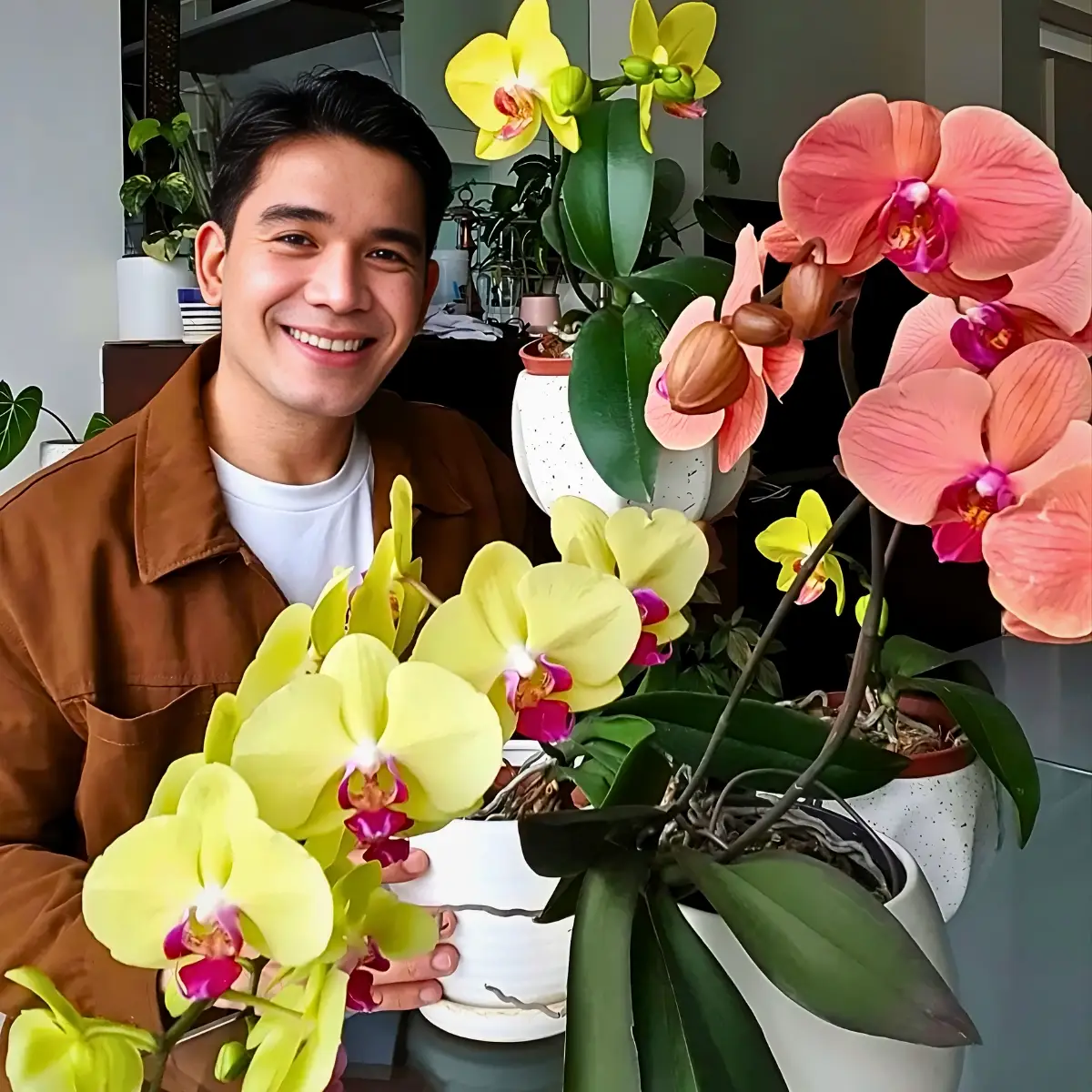 All About Celebrating Orchid Beauty and Diversity on National Orchid Day