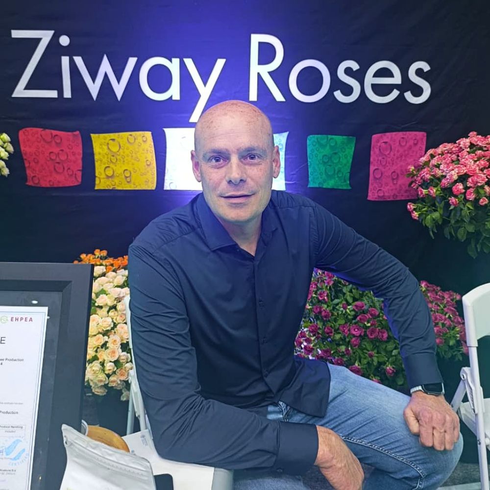 Ziway Roses