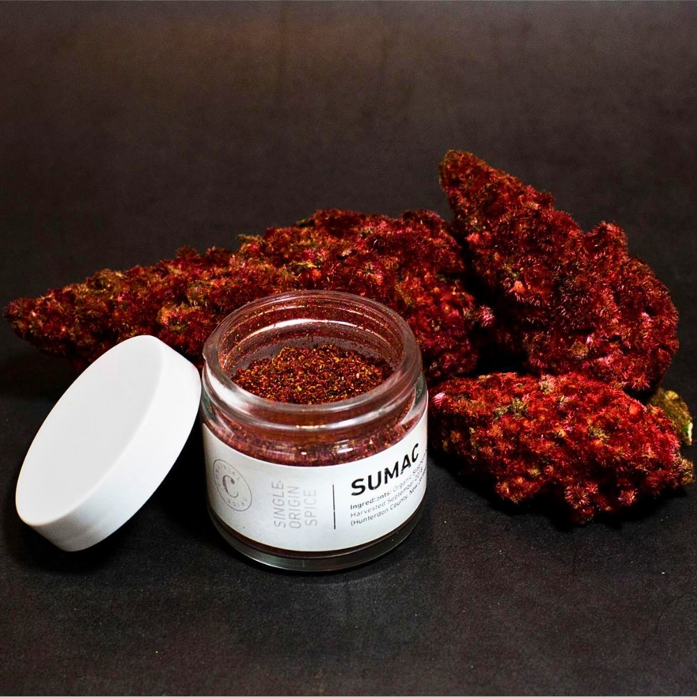 How can I distinguish a female plant of staghorn sumac from a male plant?