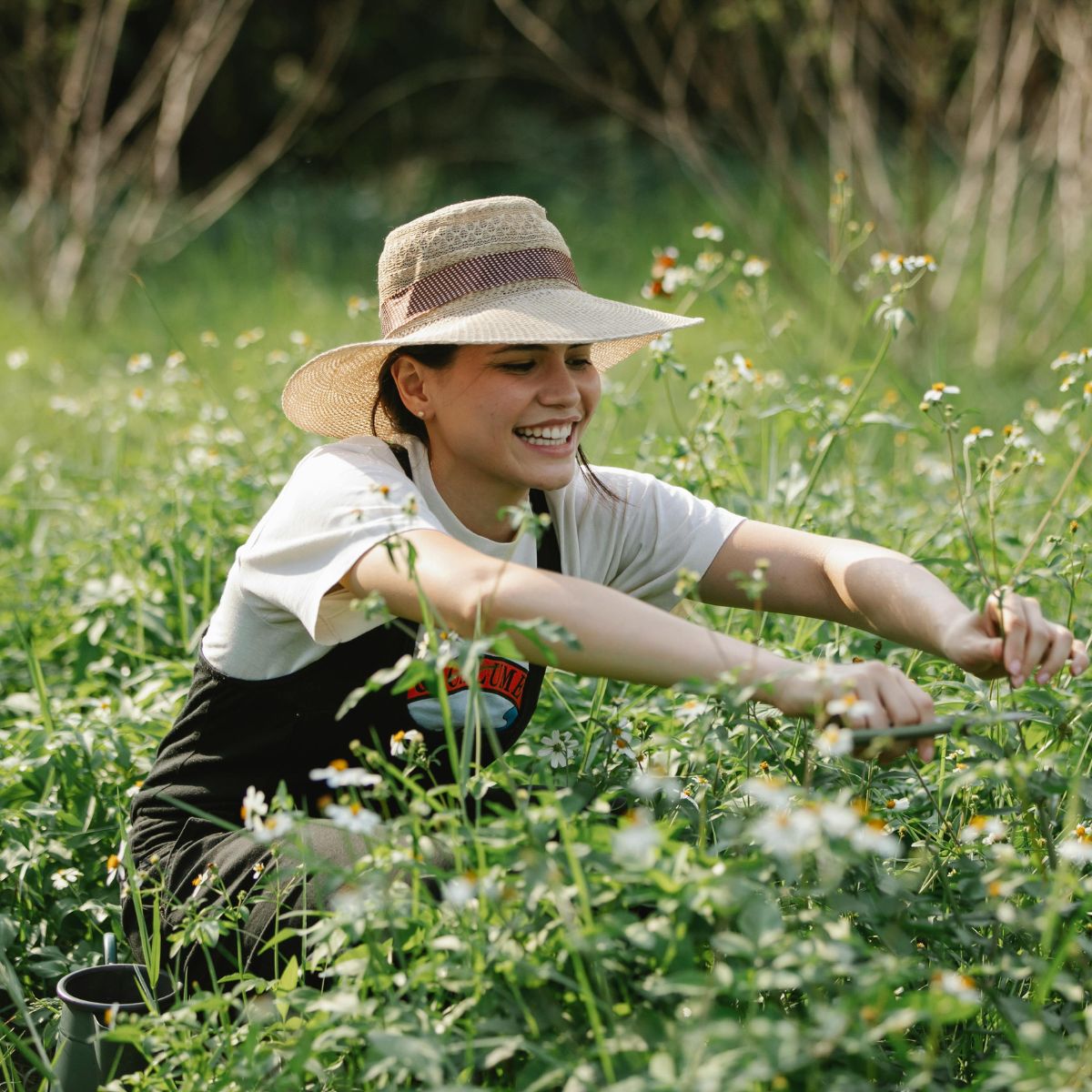 Deck Design Feature Image