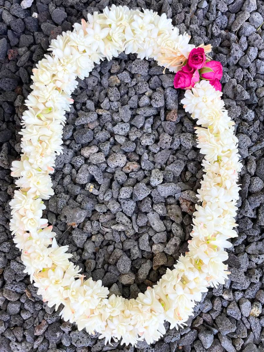 White tuberose lei