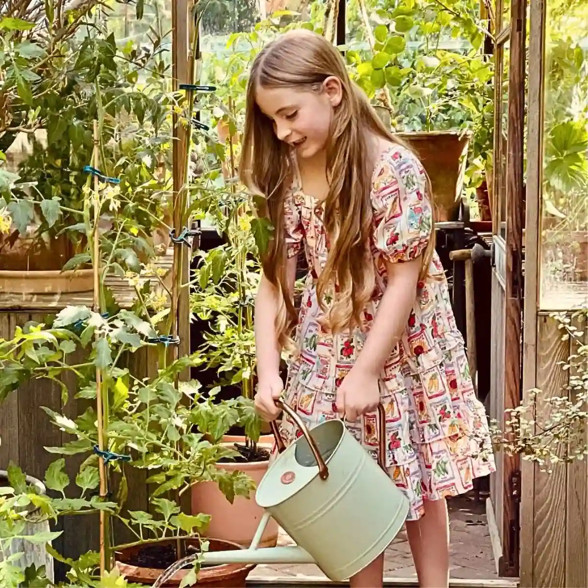 Fertilizer to Apply Feature image