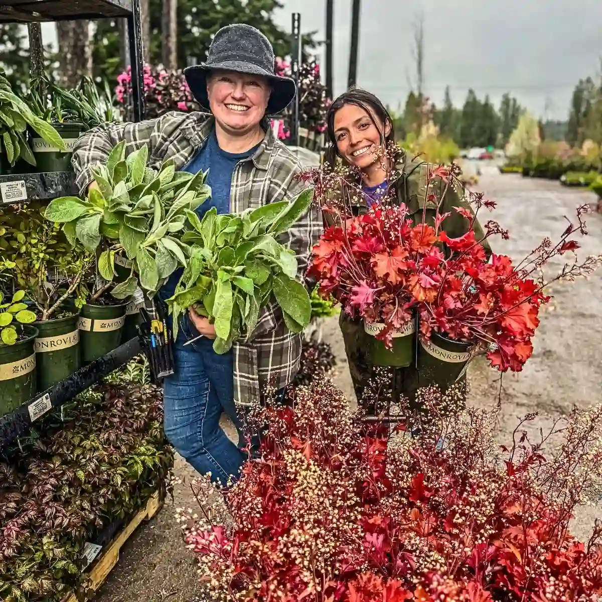 Landscape Strategies feature Image