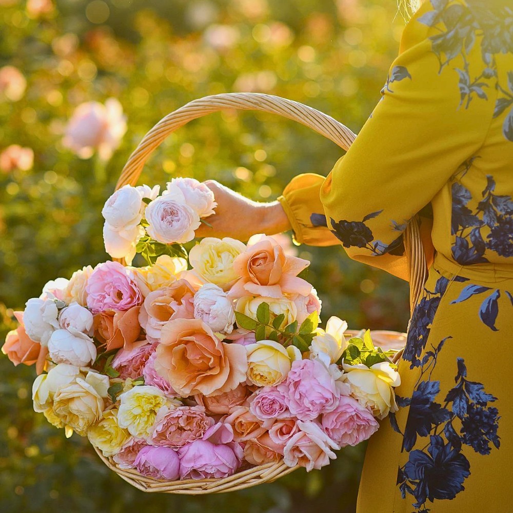 How Long Should a Bouquet Normally Last? 