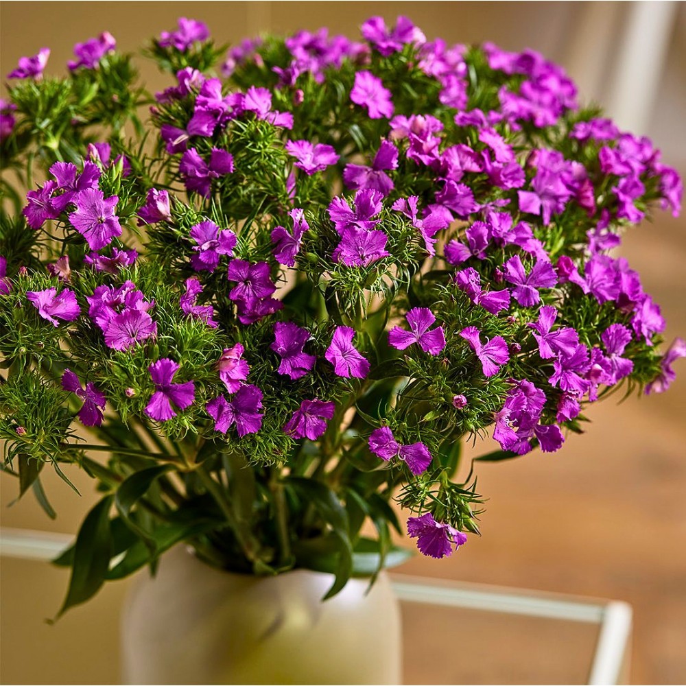 The World Cup Isn&rsquo;t Just a Game; It Is a Demand Engine: Danziger&rsquo;s Perspective on How Global Moments Create New Opportunities for Flower Consumption.