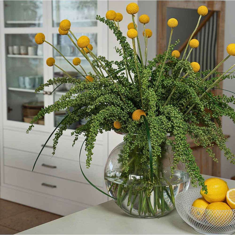 The World Cup Isn&rsquo;t Just a Game; It Is a Demand Engine: Danziger&rsquo;s Perspective on How Global Moments Create New Opportunities for Flower Consumption.