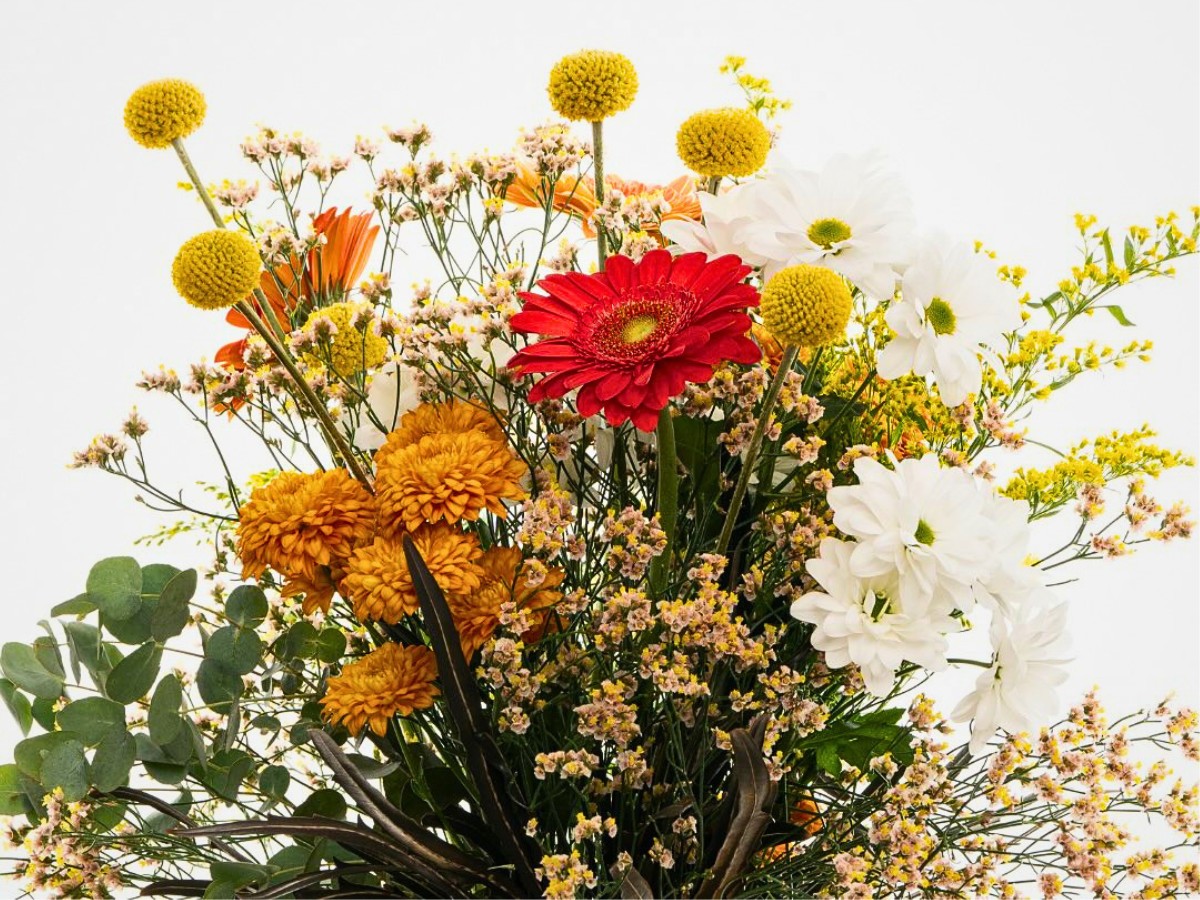 The World Cup Isn&rsquo;t Just a Game; It Is a Demand Engine: Danziger&rsquo;s Perspective on How Global Moments Create New Opportunities for Flower Consumption.