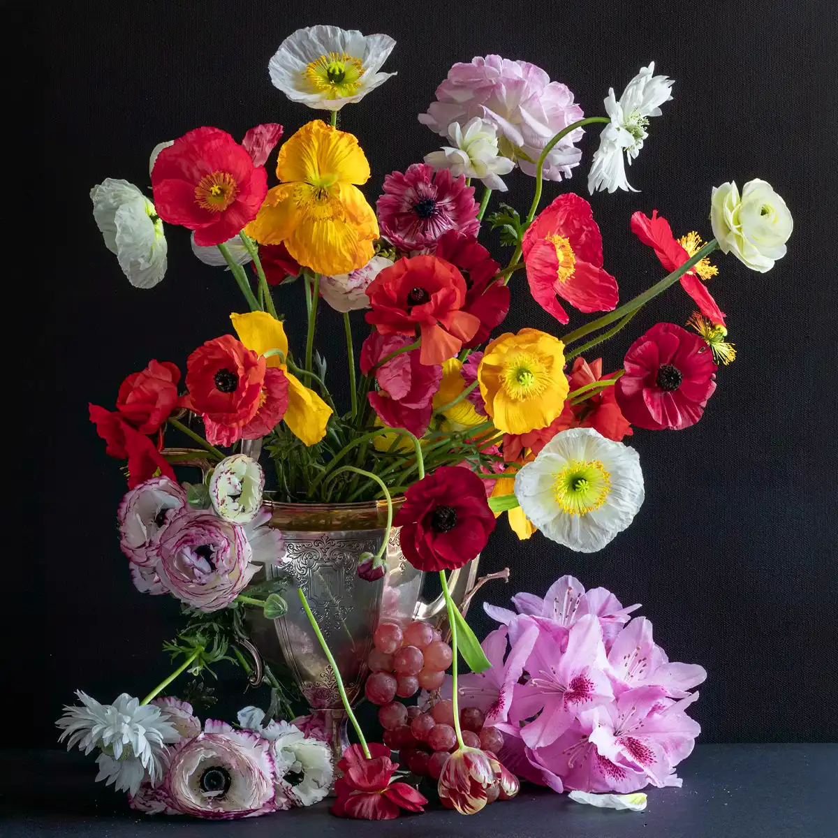 The Best Taurus Flower as per the Zodiac Sign