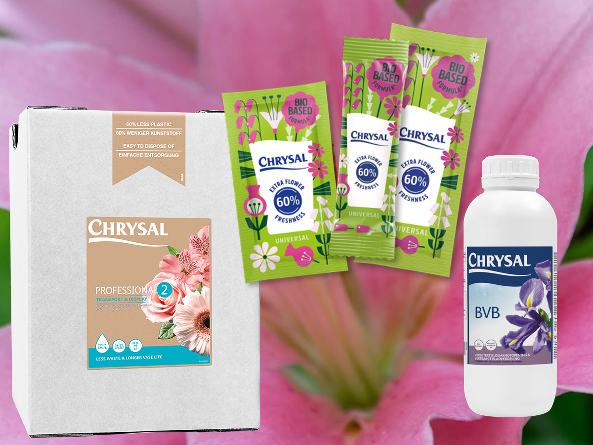 Chrysal's solutions for the best lily life