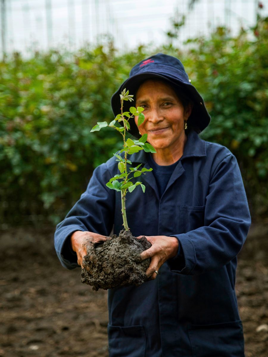 Rosaprima worker smiling with a root