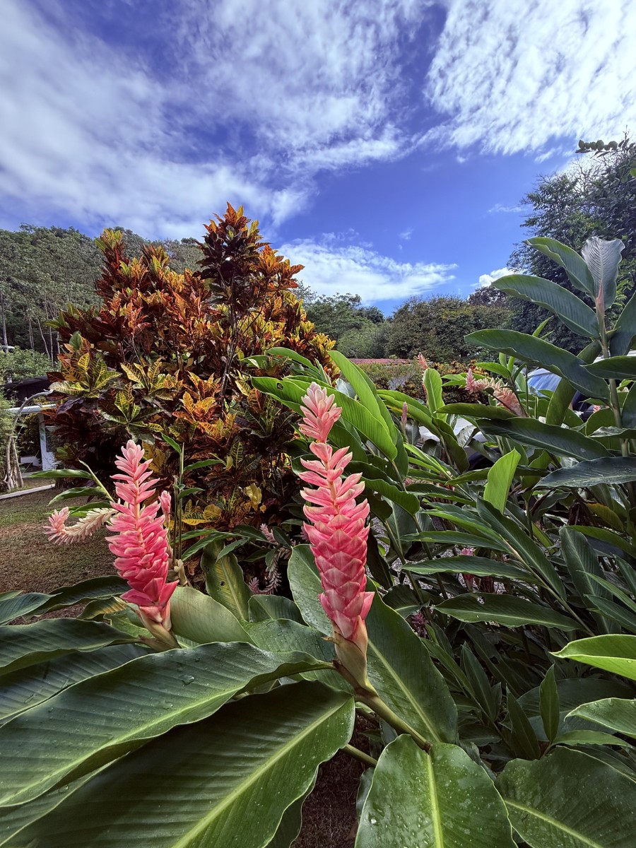 Ground Beneath the Business: Why the Next Evolution of Horticulture Is Human