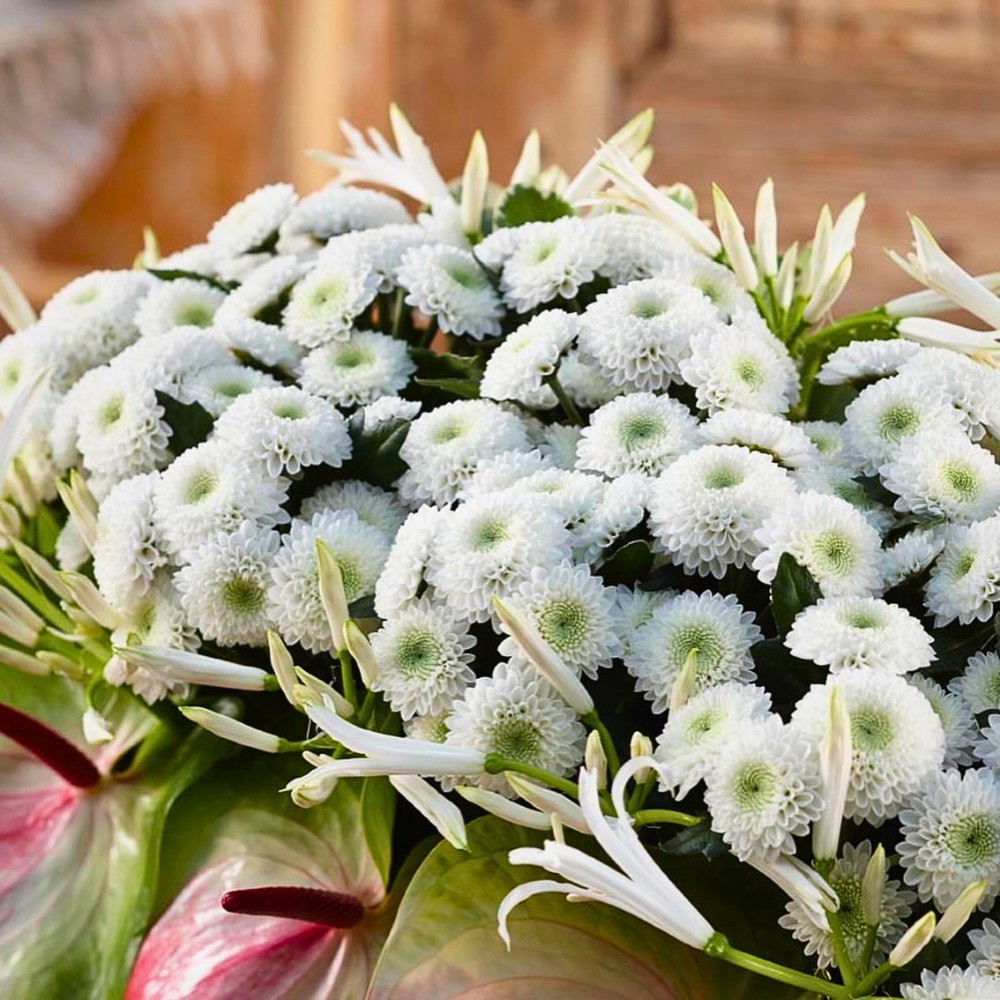 Why Do Some Cultures Avoid Certain Flowers?