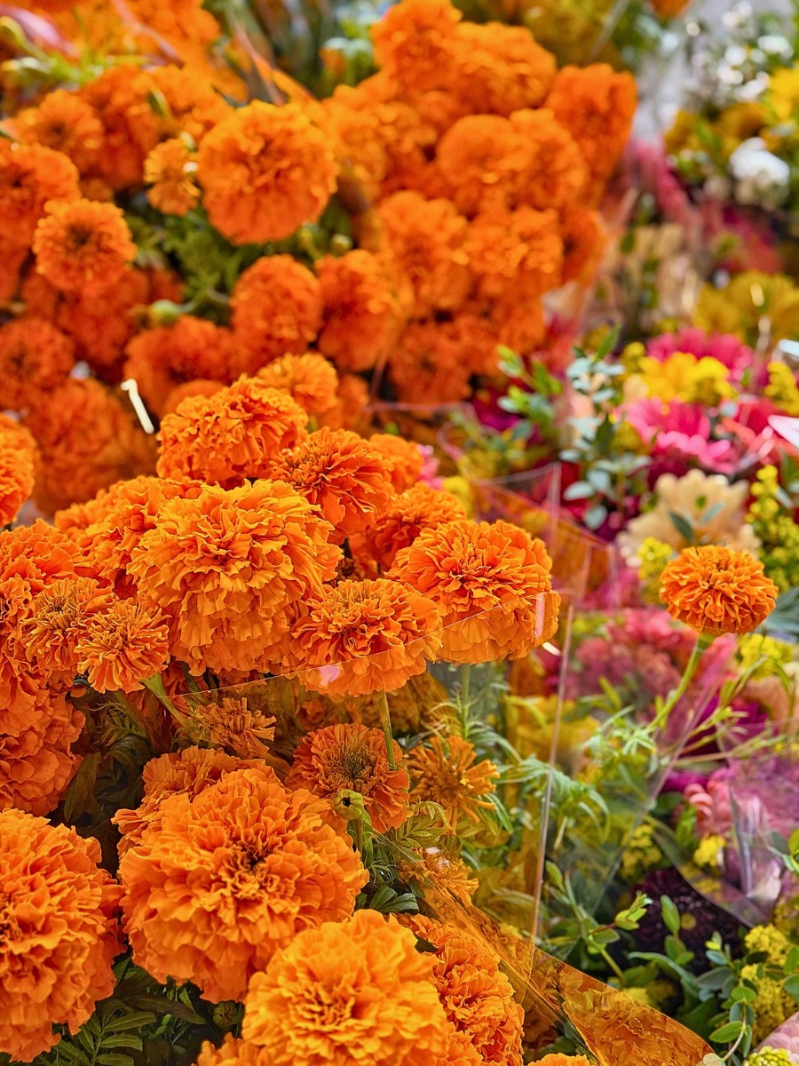 Why Do Some Cultures Avoid Certain Flowers?