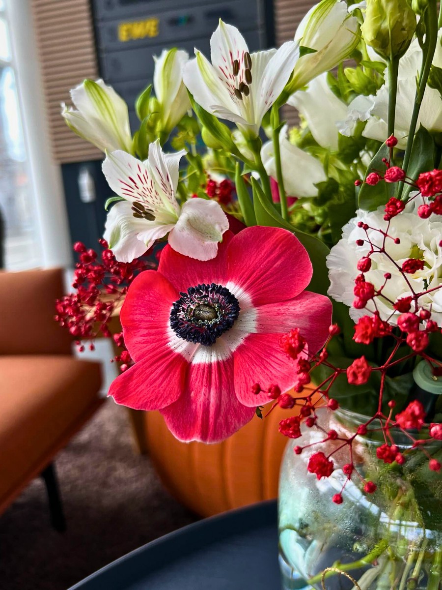 Why Do Some Cultures Avoid Certain Flowers?