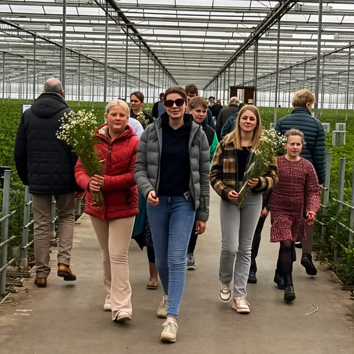 Tesselaar Kom in de Kas Alstroemeria