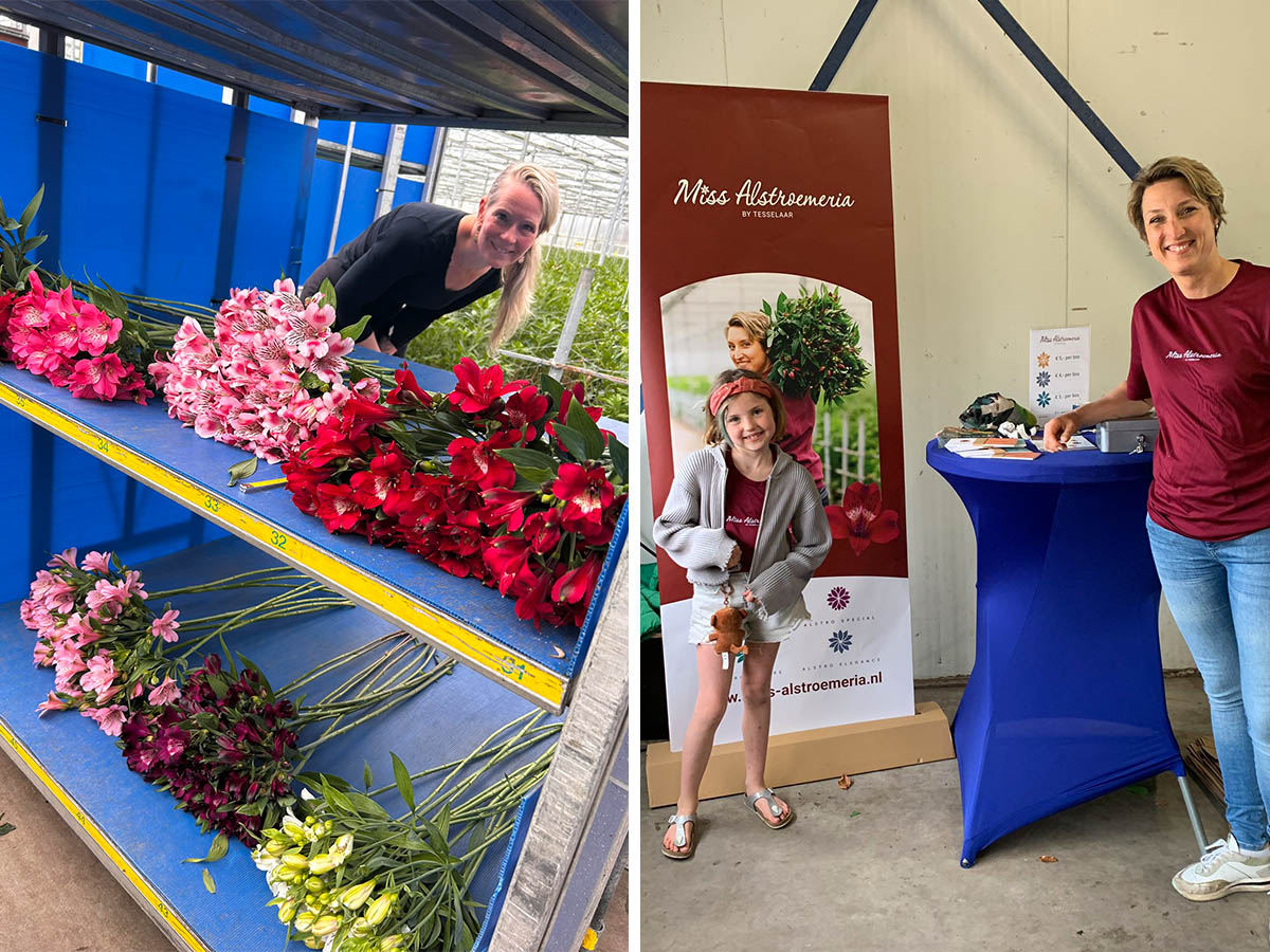 Tesselaar Kom in de Kas 2026 Ilona Oostenveld