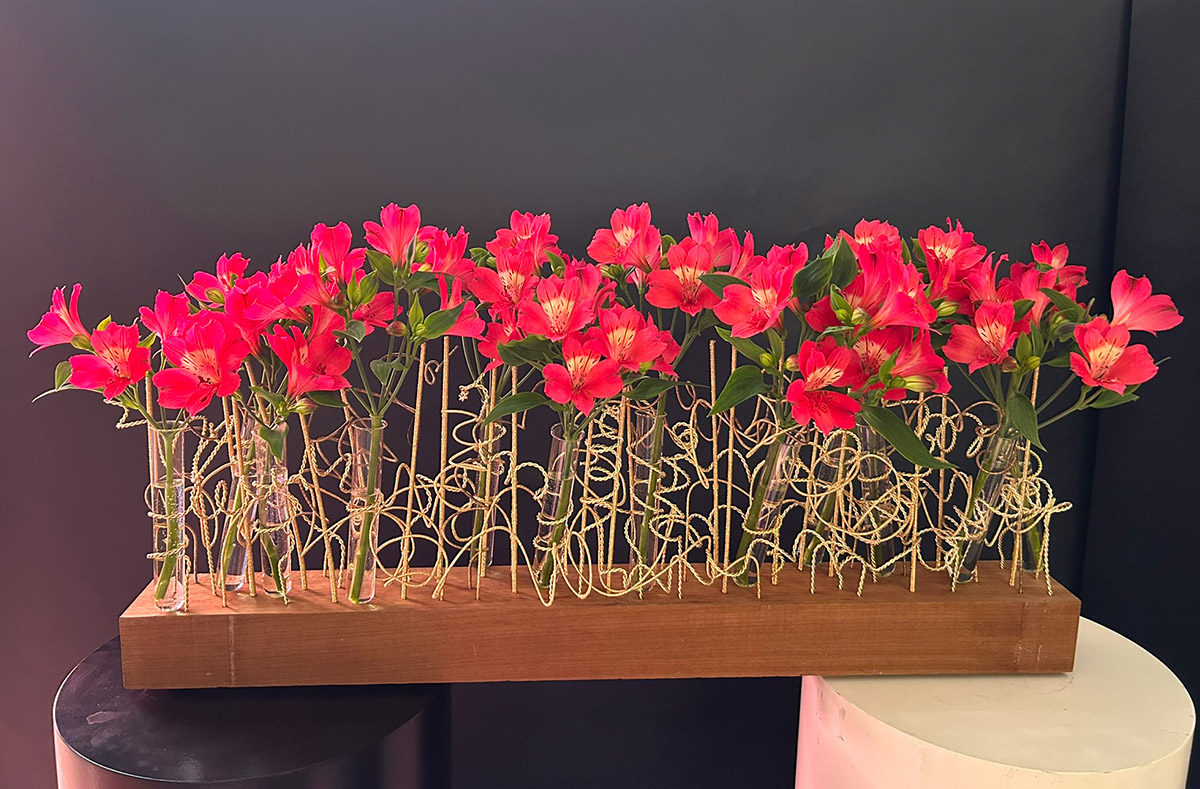 Tesselaar Ilona Oostenveld red design