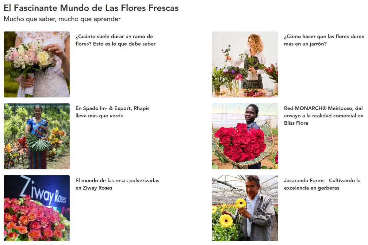 The World of Cut Flowers