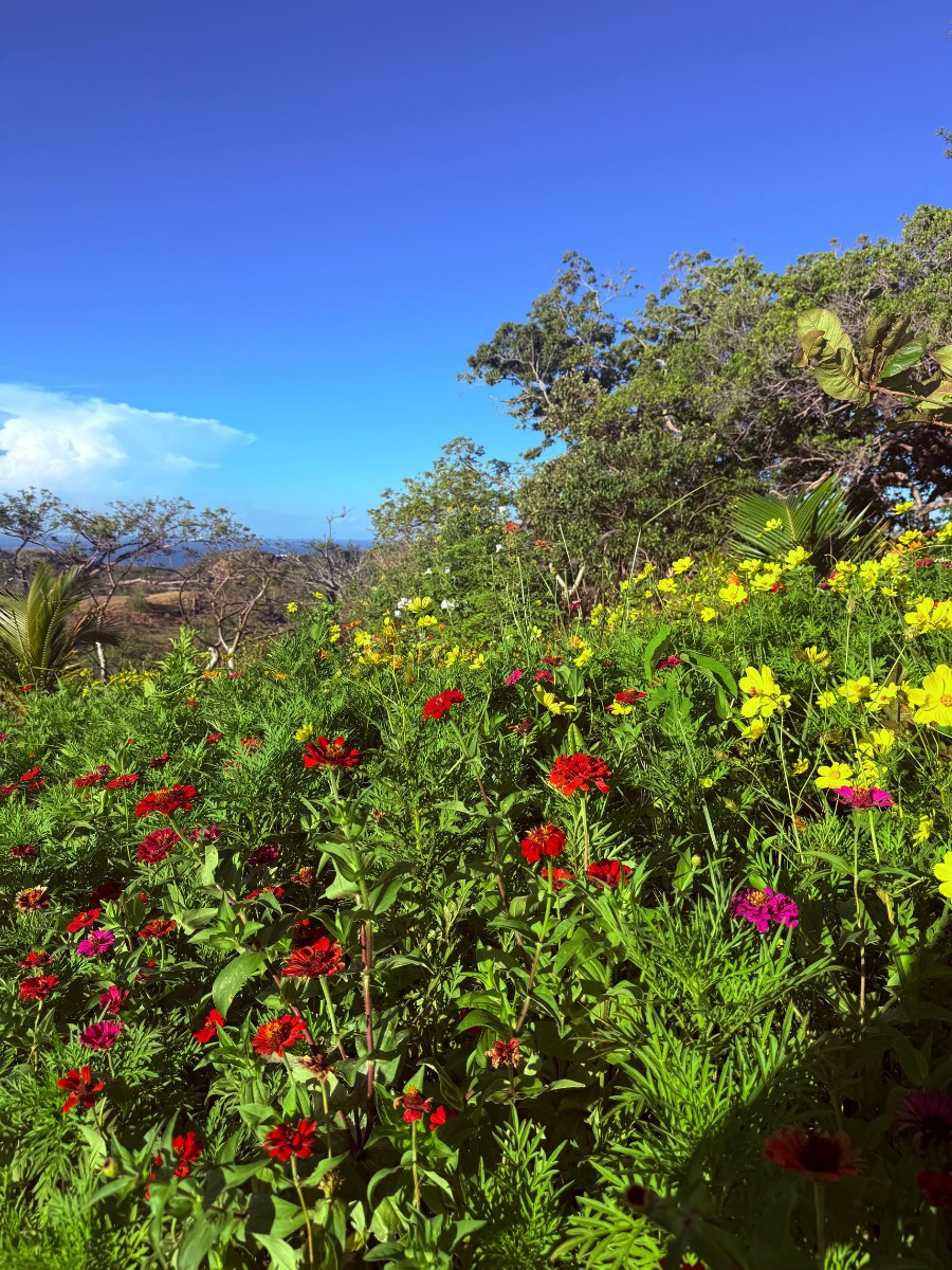Ground Beneath the Business: Why the Next Evolution of Horticulture Is Human