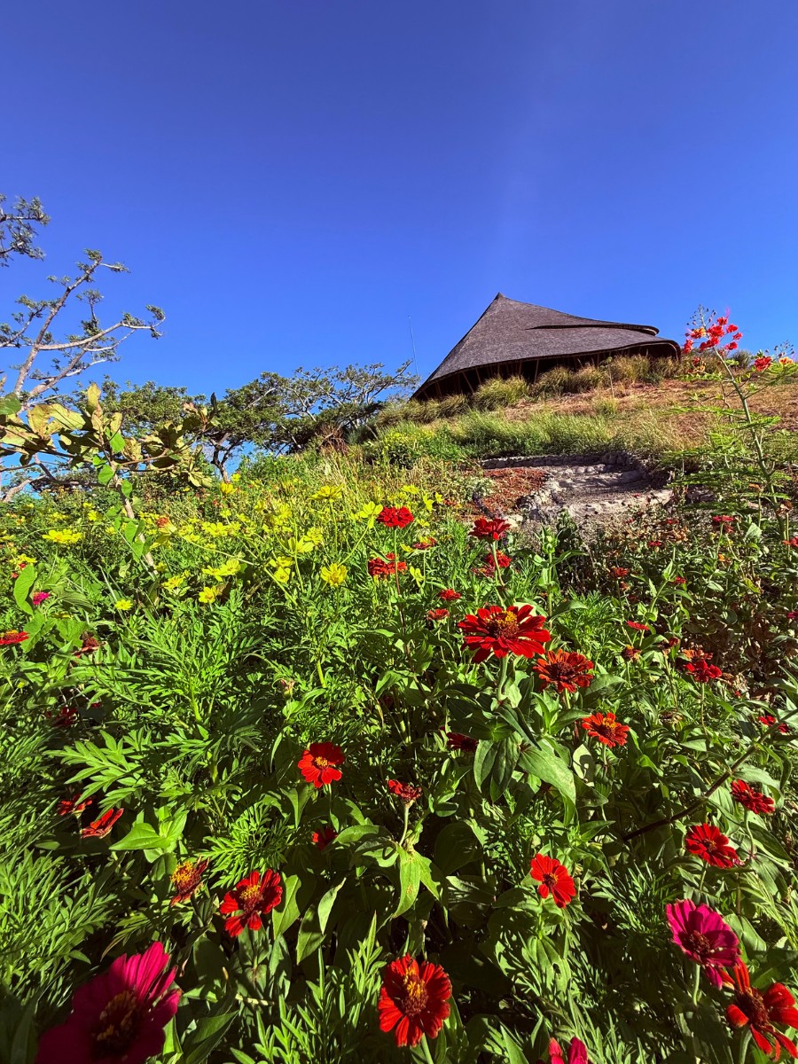 Ground Beneath the Business: Why the Next Evolution of Horticulture Is Human