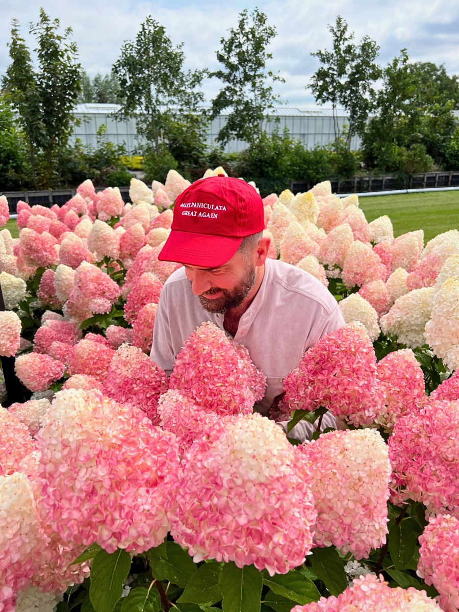 Why Do Some Flowers Change Their Colors?