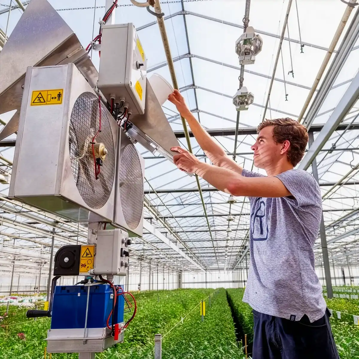 Stop Apologizing for Flowers — We've Never Been Better