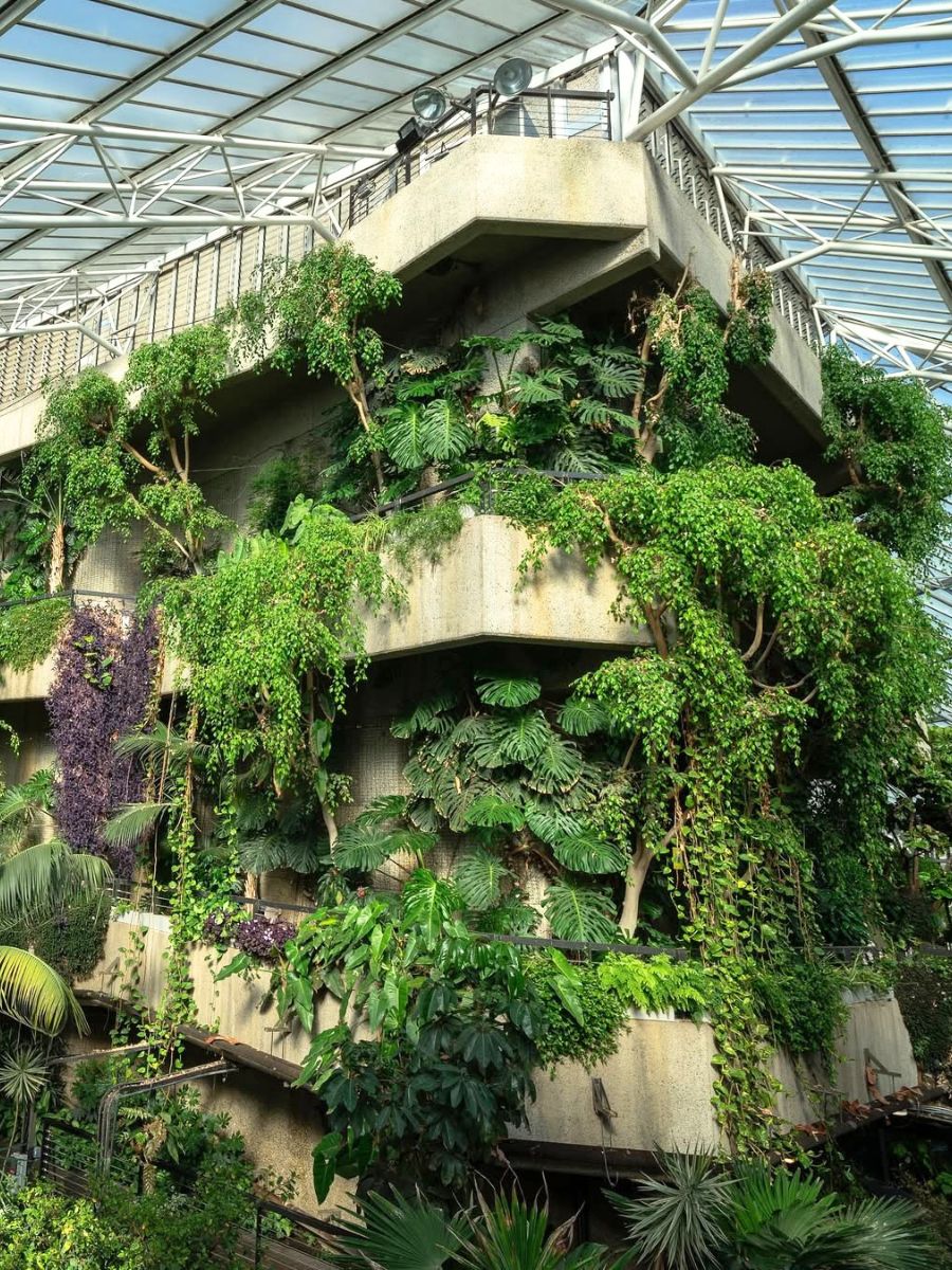 Londons barbican conservatory