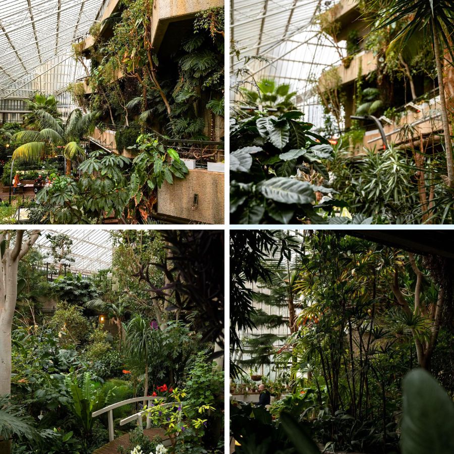 Parts of the conservatory in London