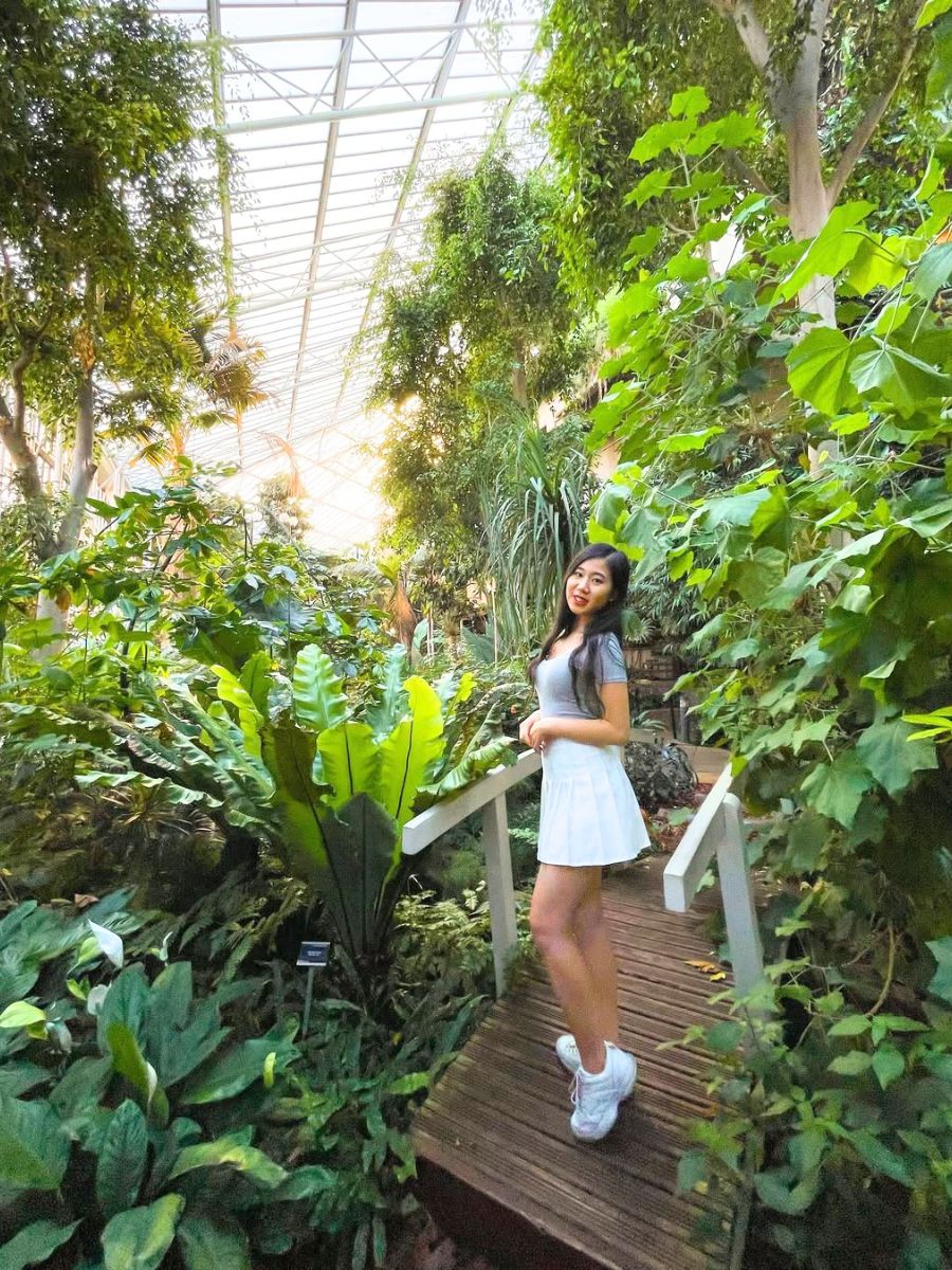 Plants inside the London barbican conservatory