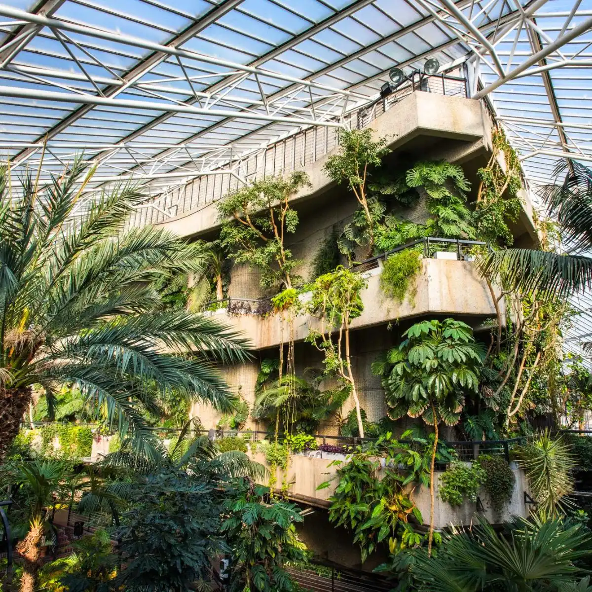 Barbican conservatory