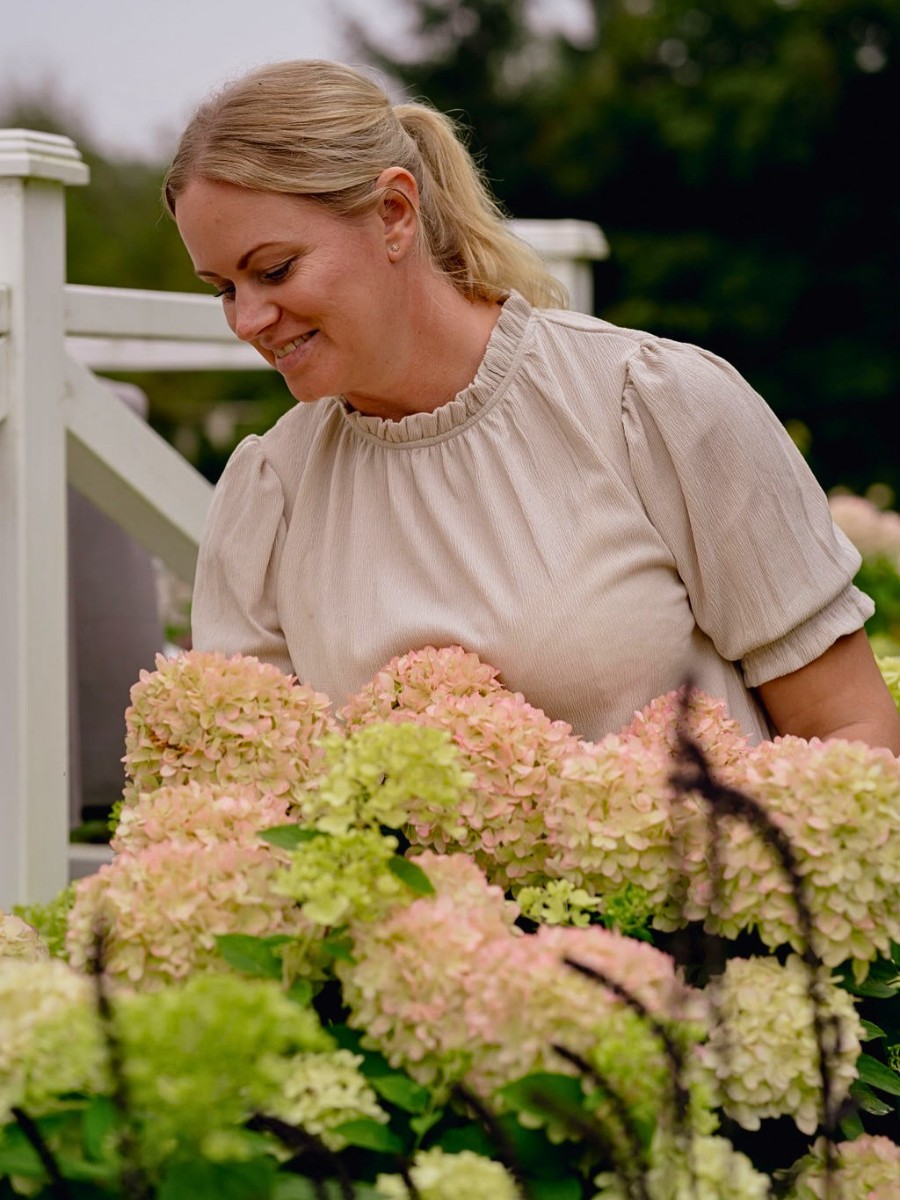 Why Do Some Flowers Change Their Colors?