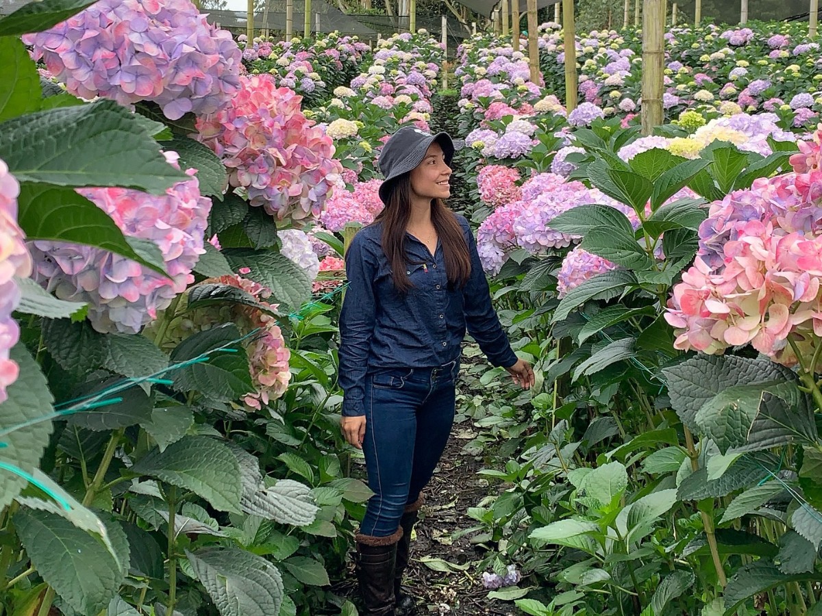 Why Do Some Flowers Change Their Colors?