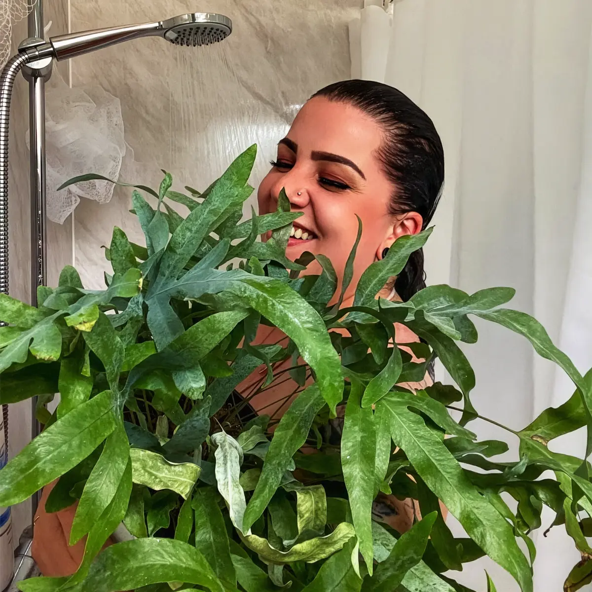 Fresh and Healthy Bathing Spaces: Ten Bathroom Plants That Absorb Moisture