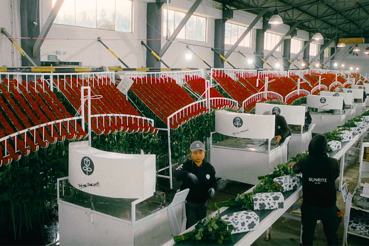 Post harvest facility Sunrite