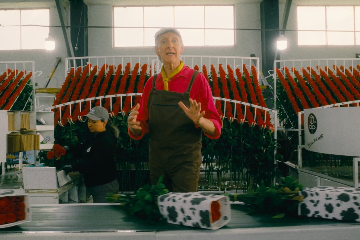 Moments during post harvest