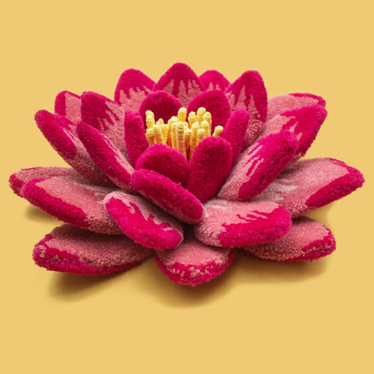 Lotus flower by Alejandra Lopez