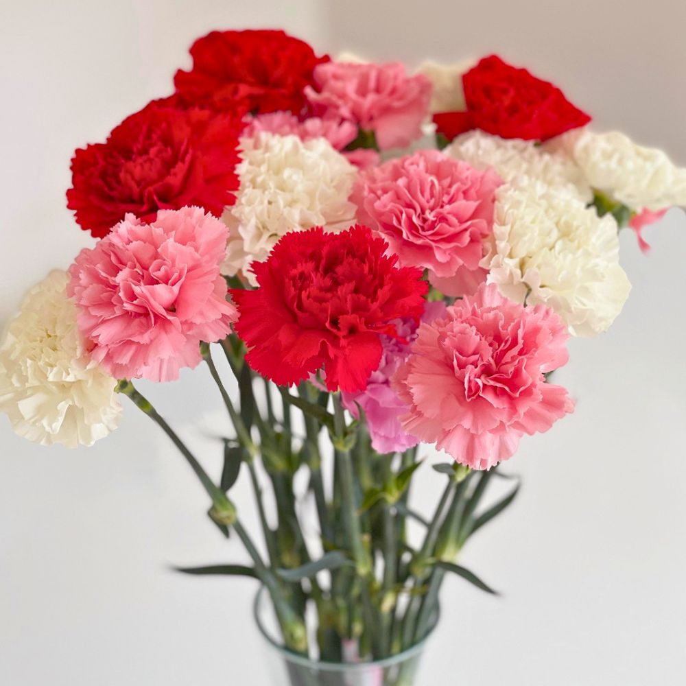 Long lasting flowers on the vase