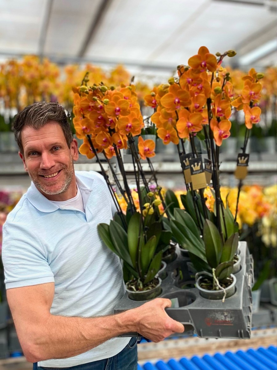 Do You Know Who Are the Leading Phalaenopsis Breeders Globally? Here&rsquo;s a Look at Some of Them.