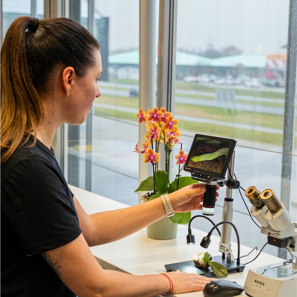 Do You Know Who Are the Leading Phalaenopsis Breeders Globally? Here&rsquo;s a Look at Some of Them.