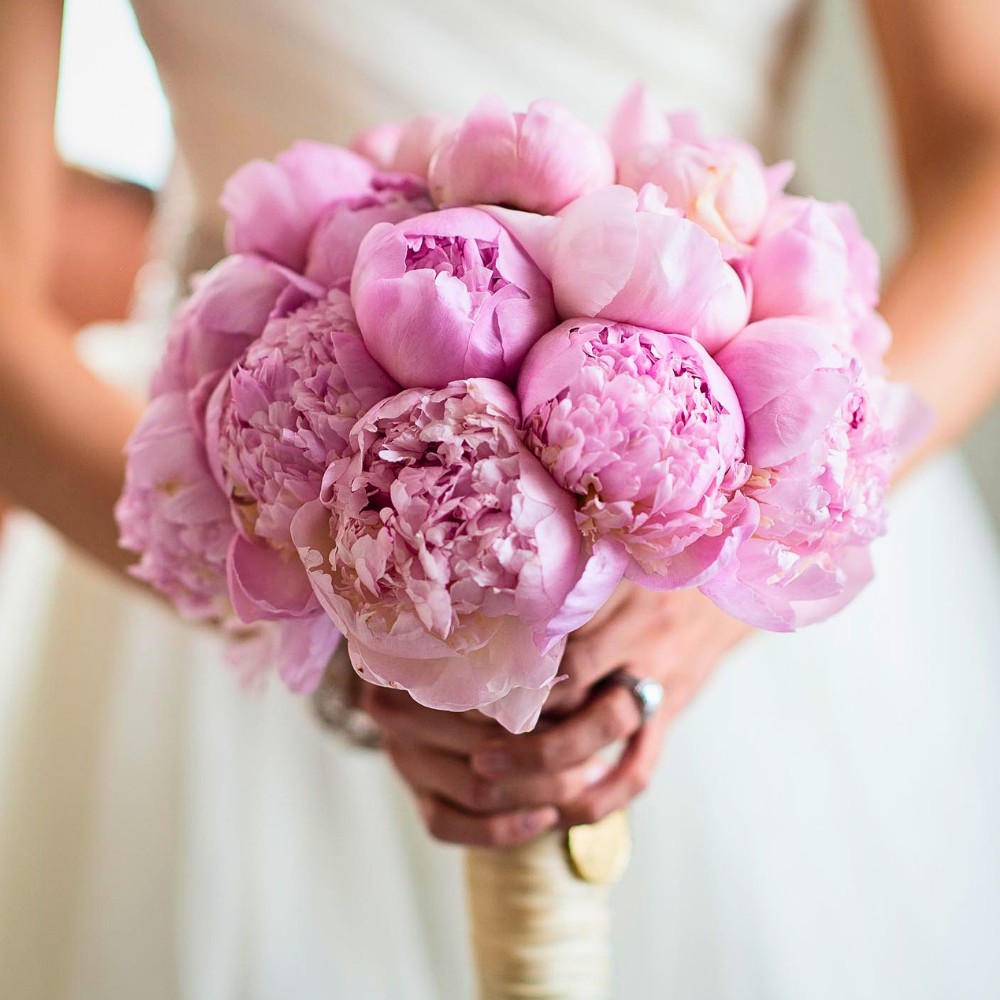 Why Peonies Are So Popular for Weddings