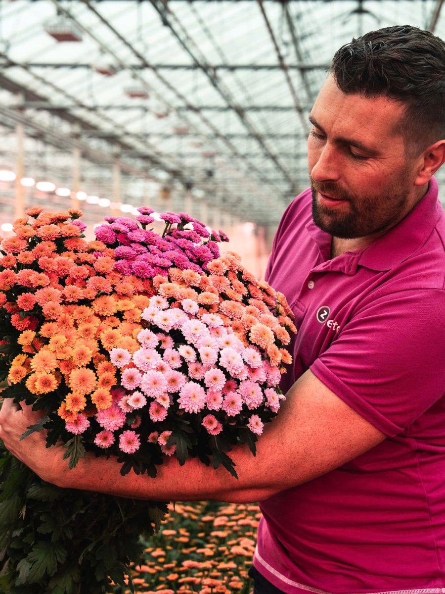 Flowers that last long on a vase