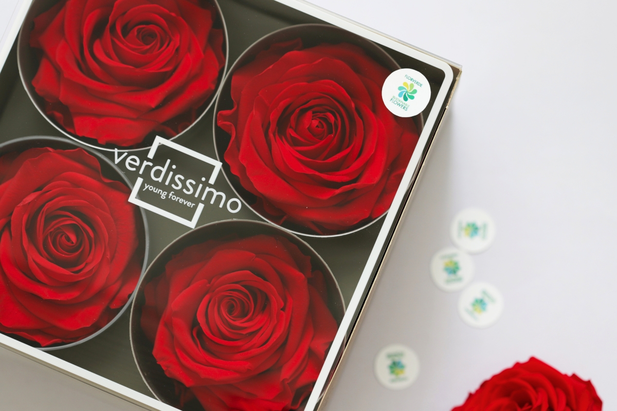 Verdissimo preserved roses
