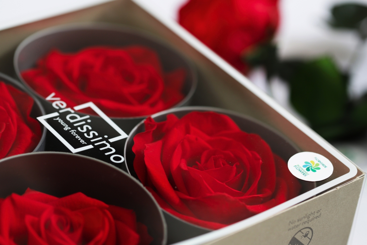 Strong red preserved roses