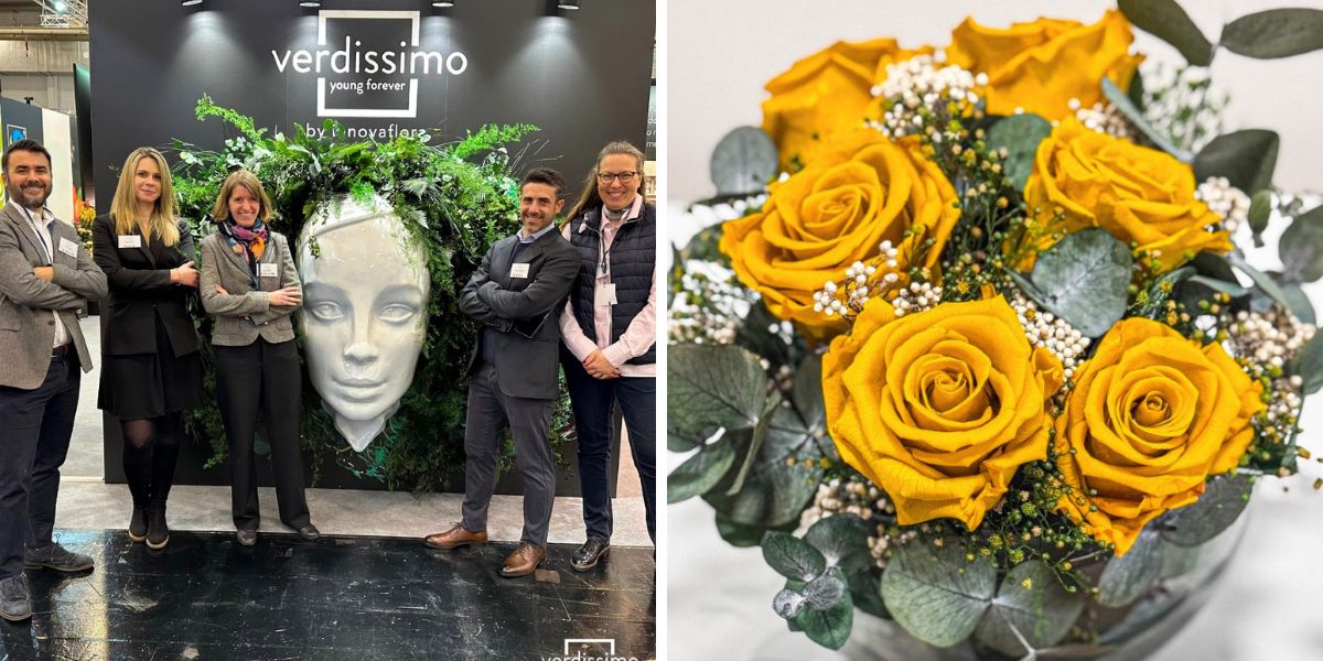 Verdissimo preserved flowers