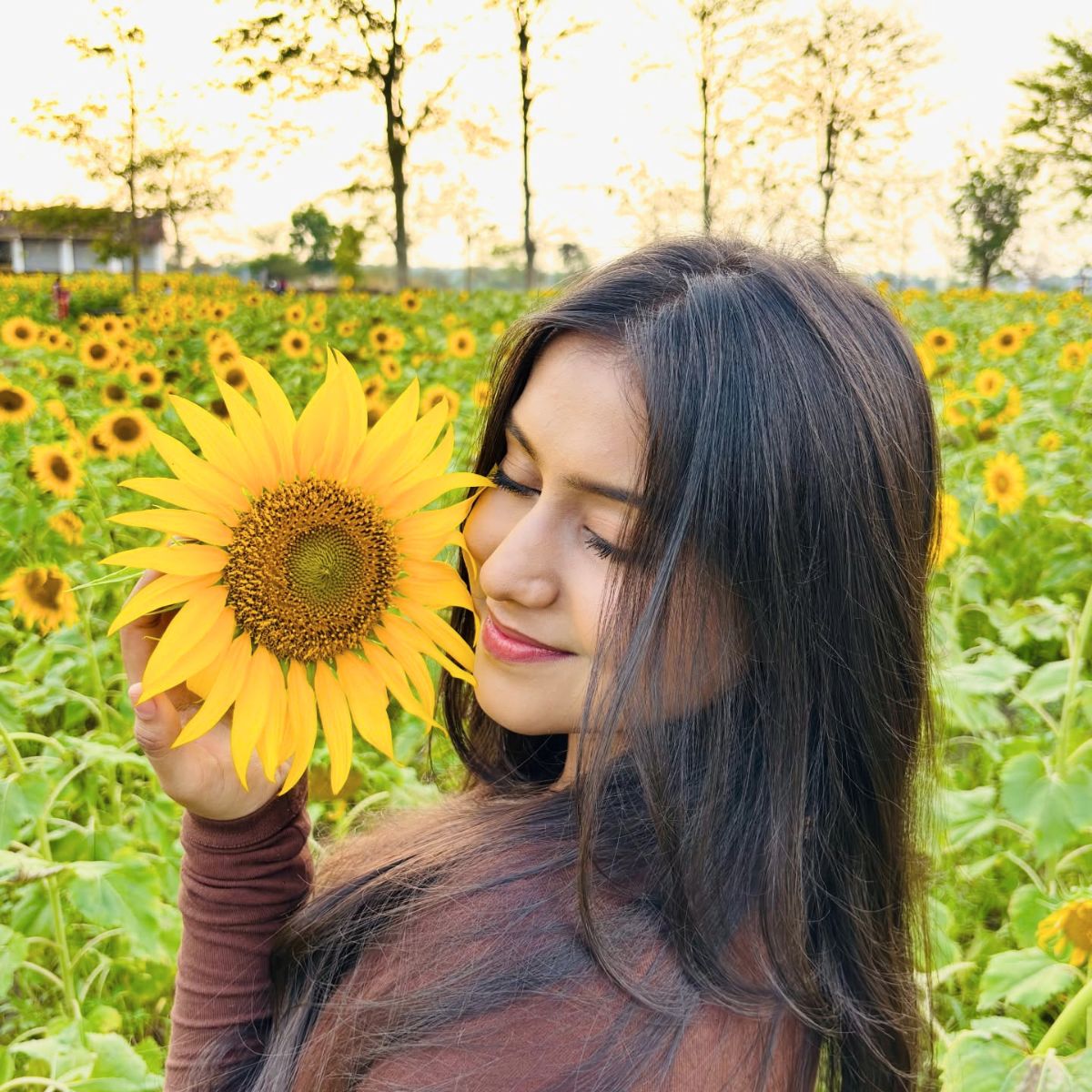 Easiest flowers to grow